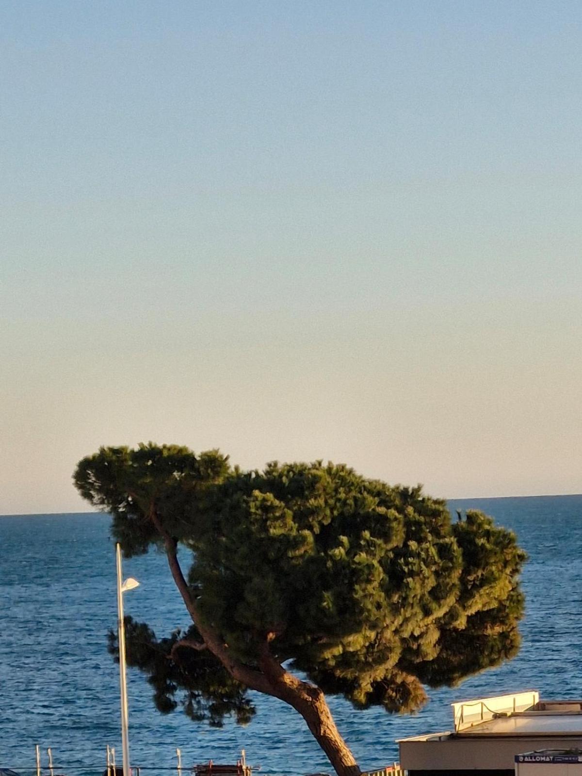 Juan-les-pins Centre Apartamento