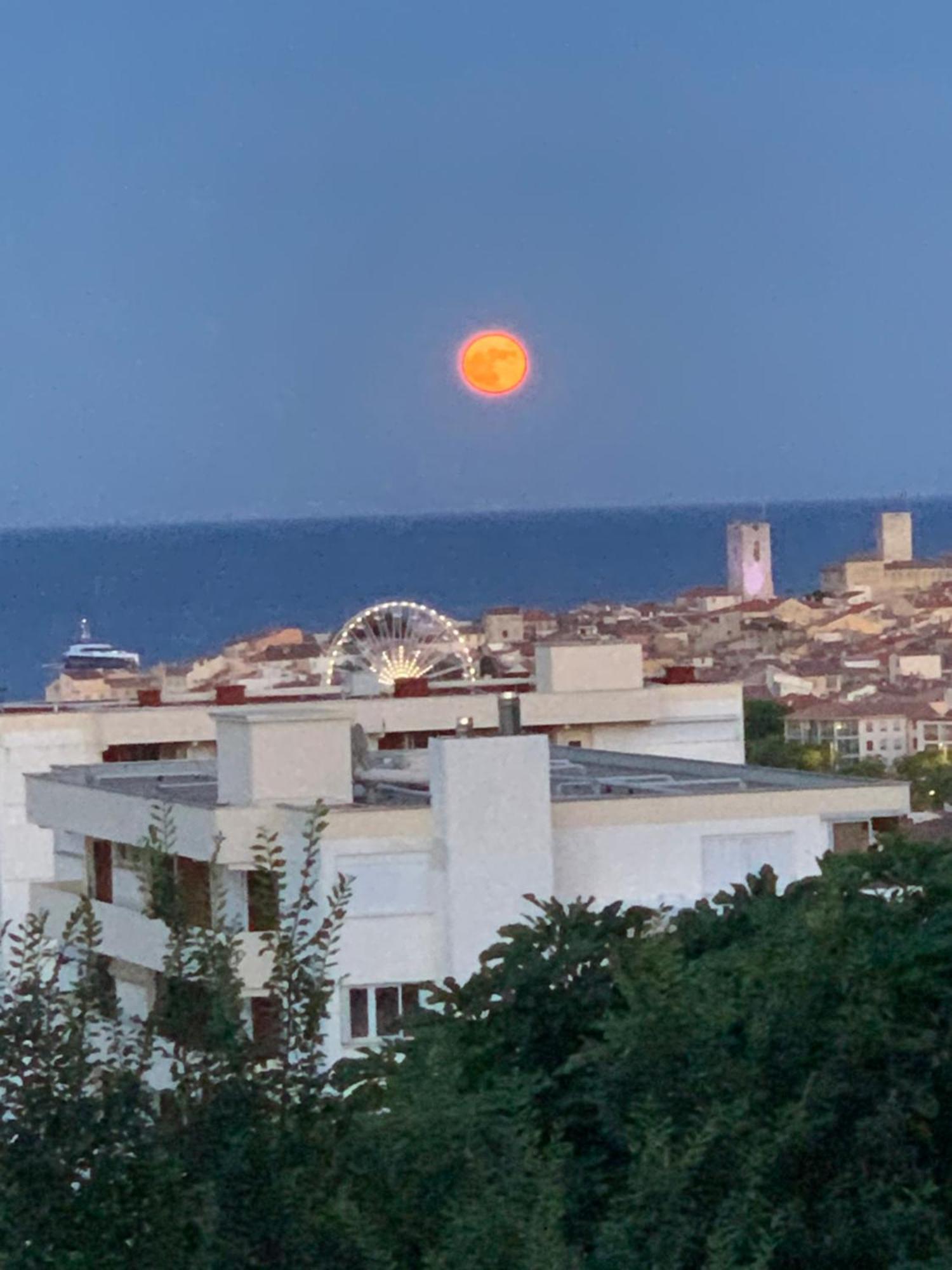 Apartamento Superbe 2 Pieces Antibes Vue Mer, Piscine, Parking