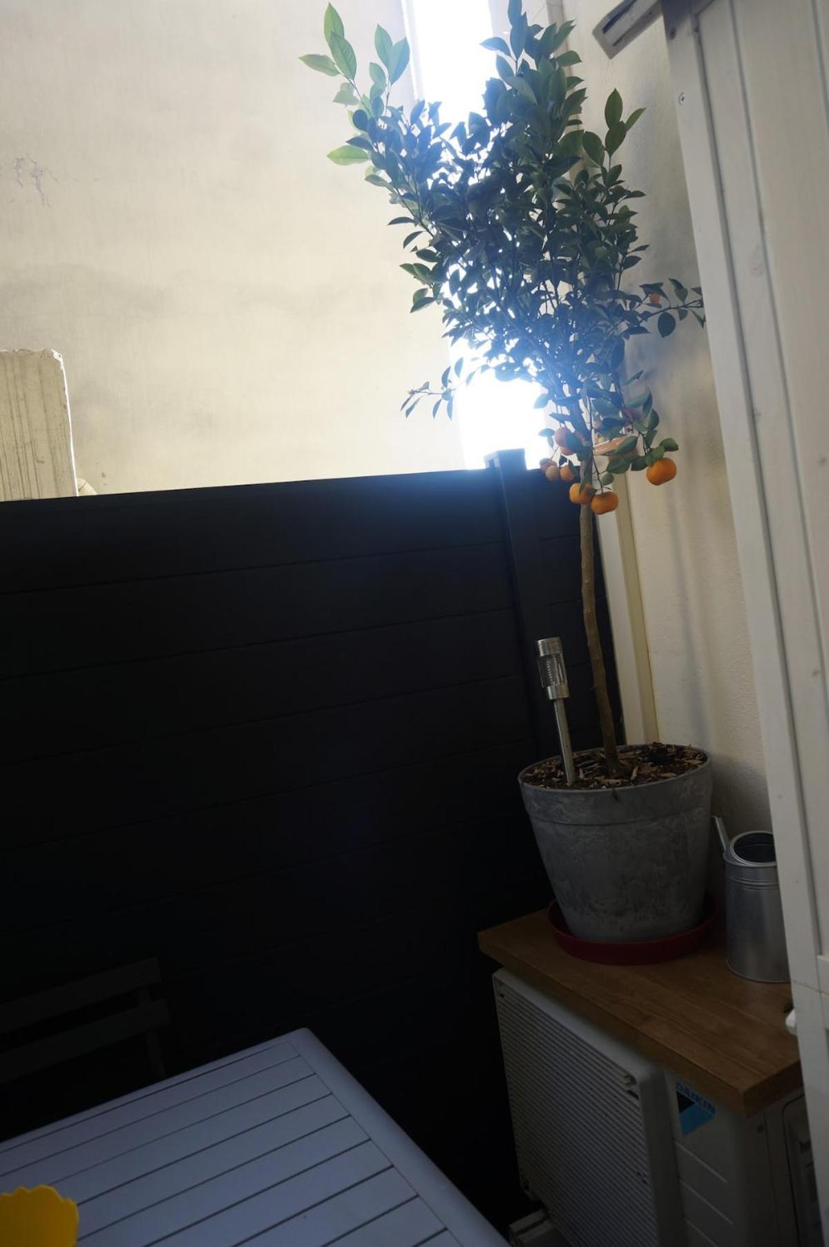First Floor Fully Renovated