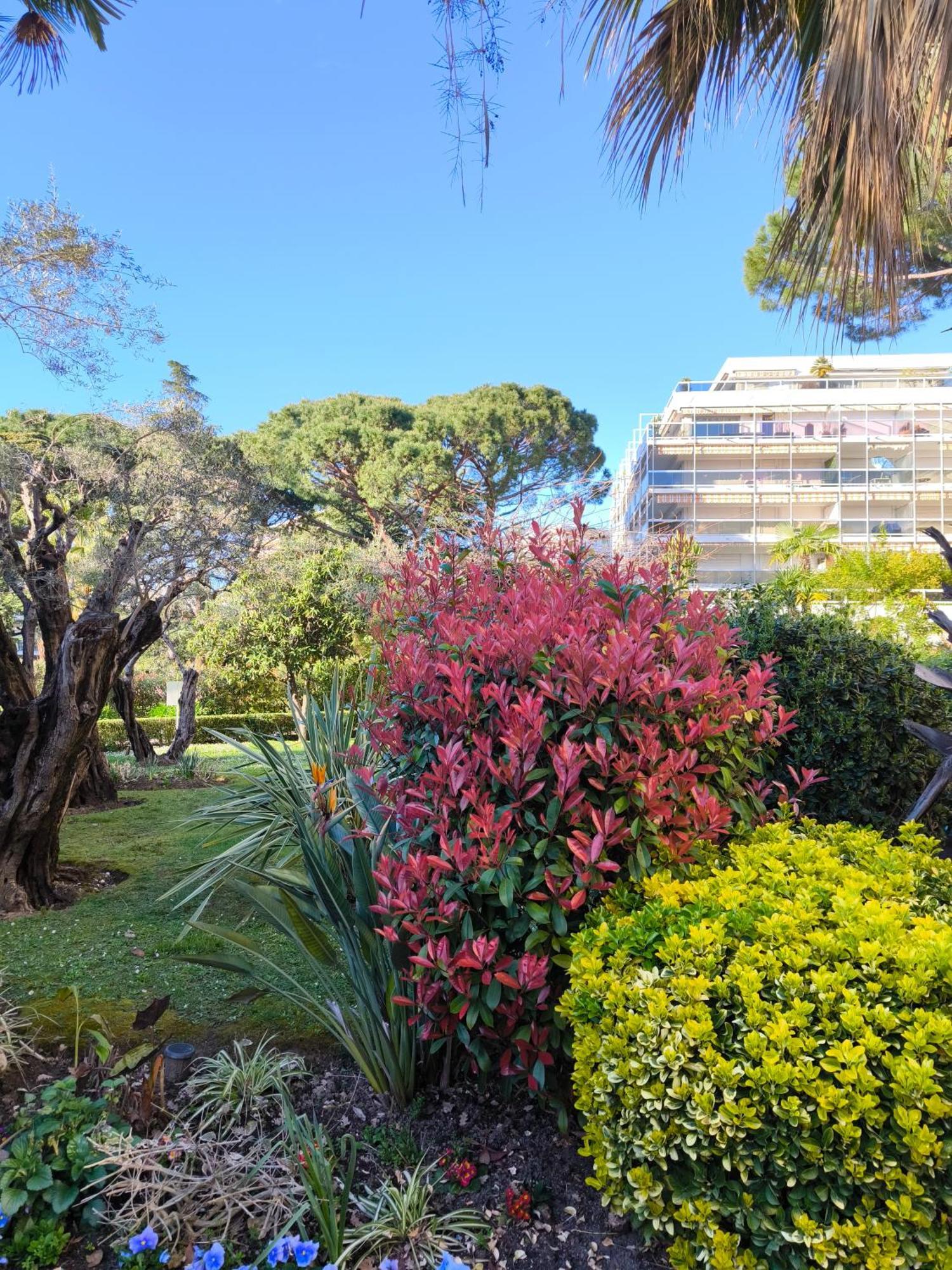 Arad 40M2 Classe Immense Terrasse 35 M2 Piscine Antibes Jlp Parking *