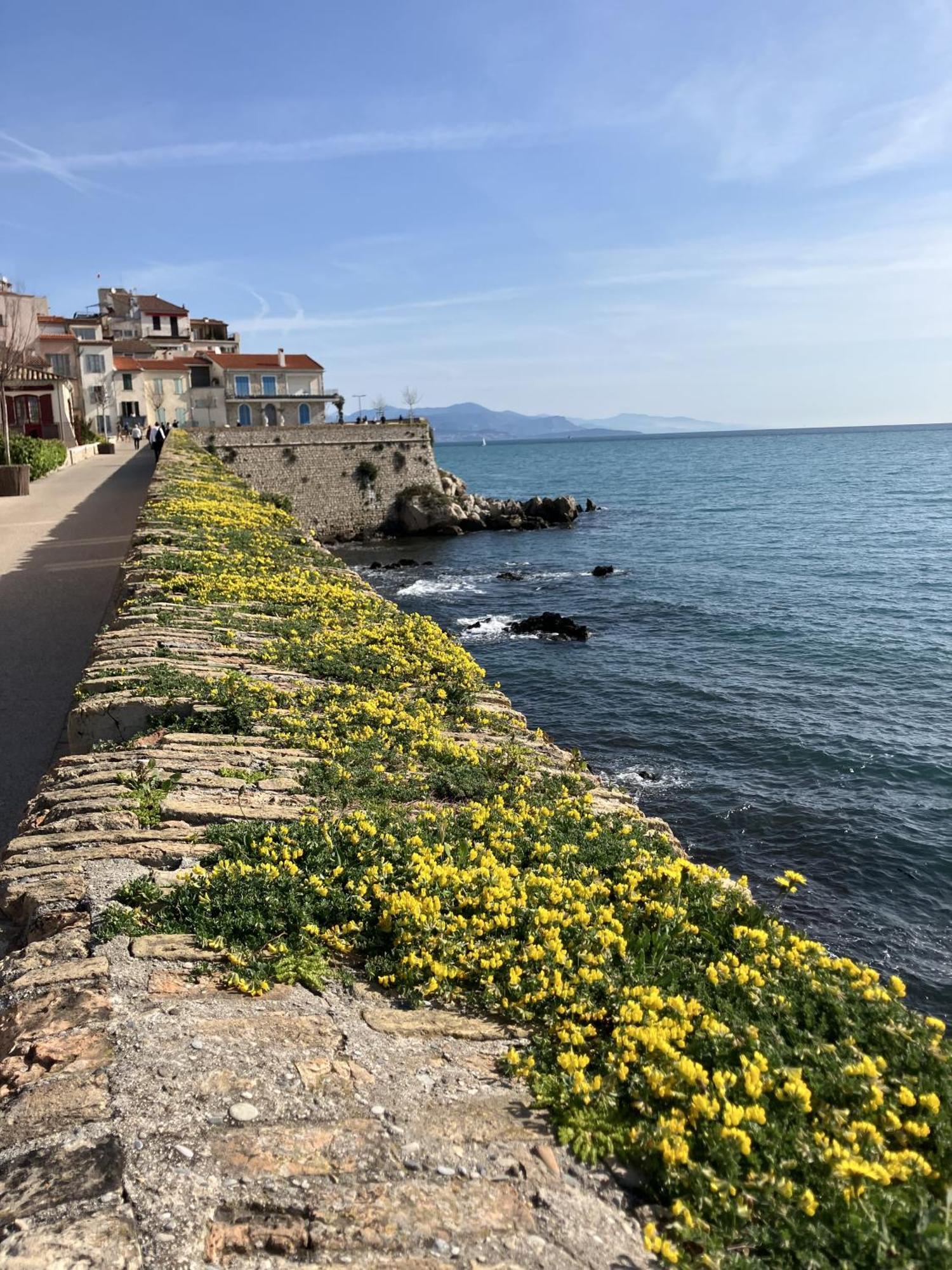 A Deux Pas Des Plages Et Au Coeur Du Vieil , Beau Renove Apartment Antibes