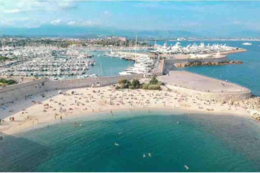 Beautiful 5 Bedroom With Direct Sea View Antibes