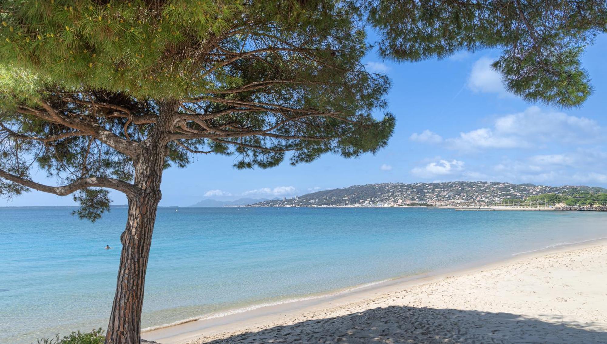 Les 15 Pins & La -your Getaway Near Sea & Apartment