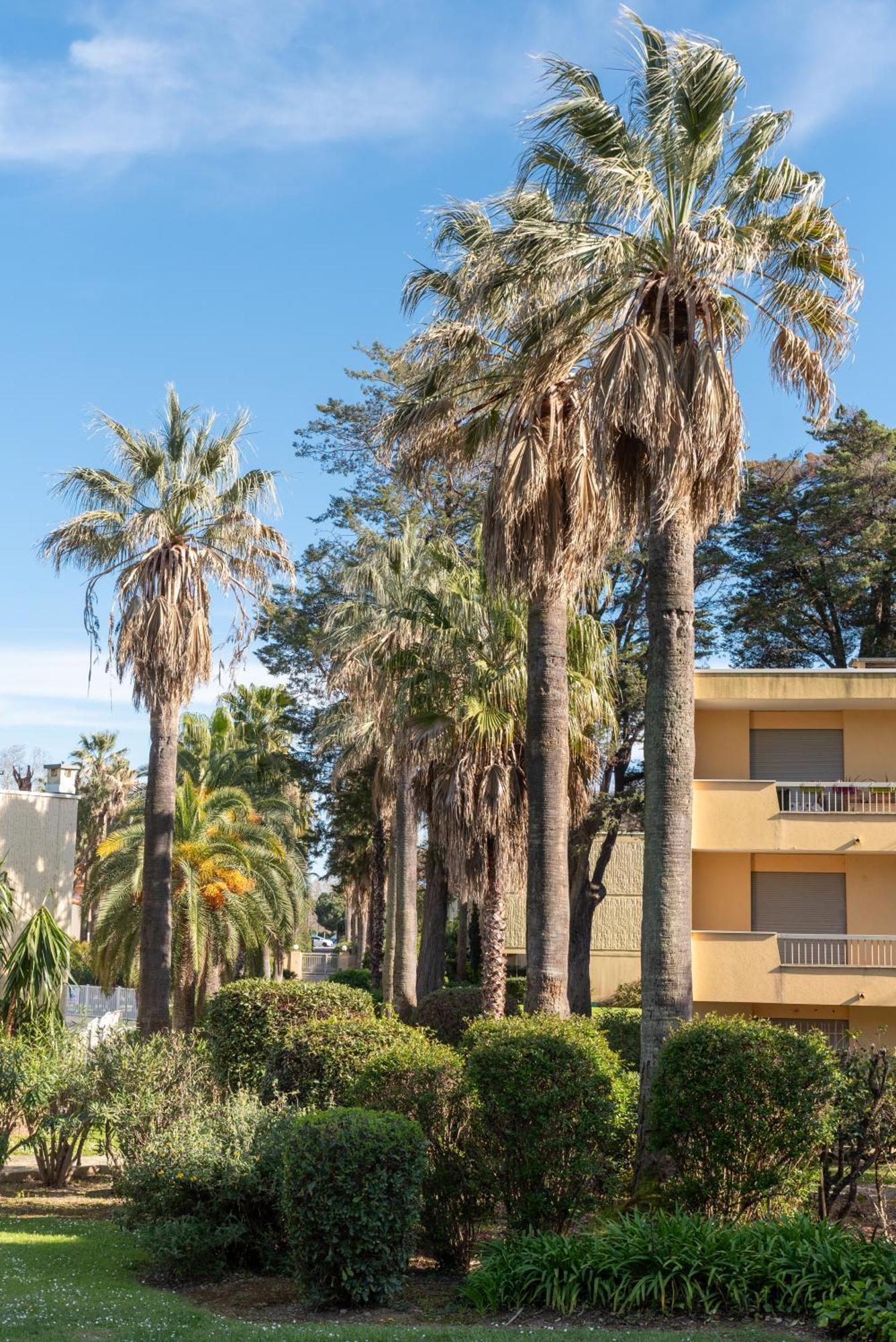 Les 15 Pins & La -your Getaway Near Sea & Antibes