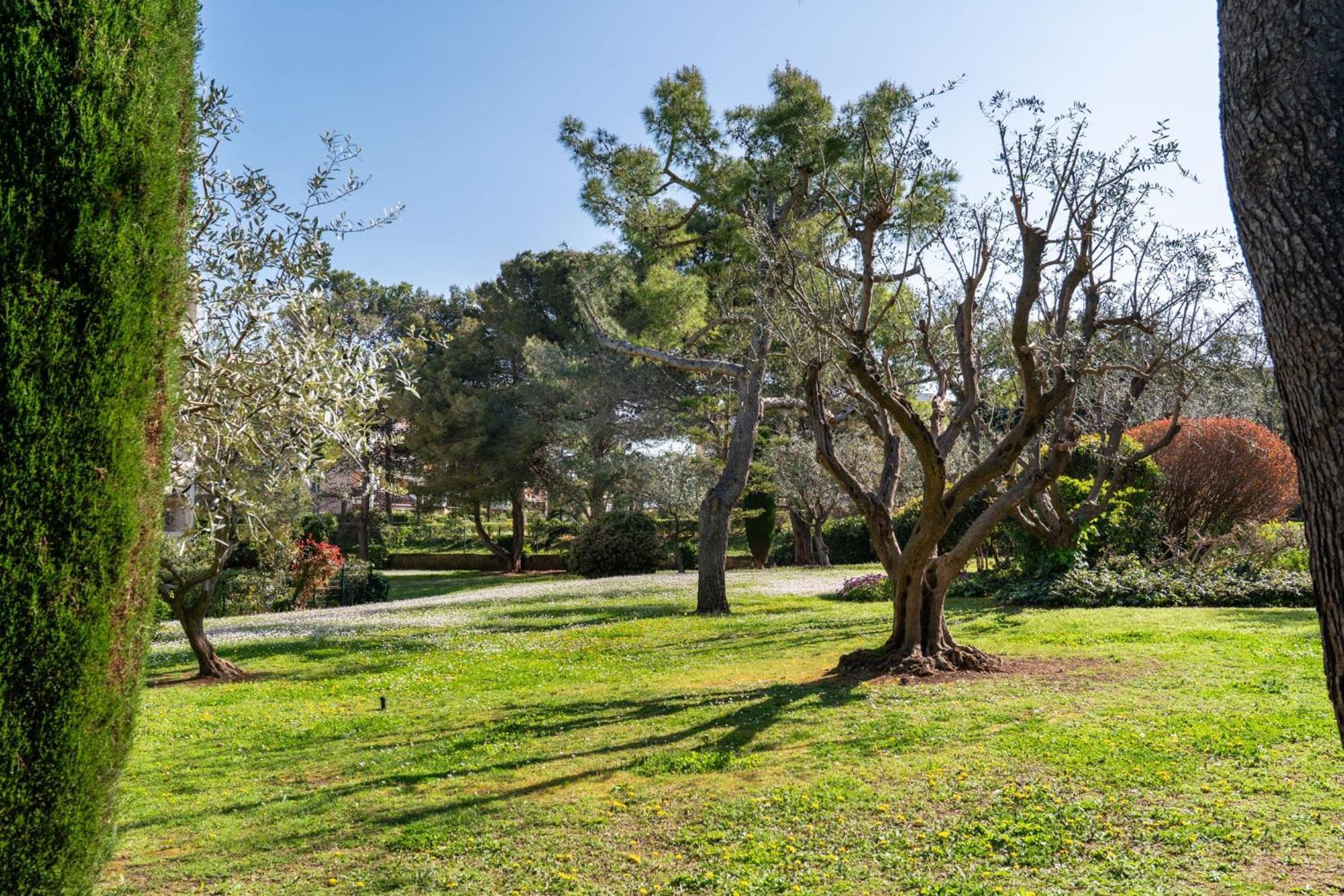Eden Bleu, Parking, Piscine, Tennis Et Soleil Appartement Antibes
