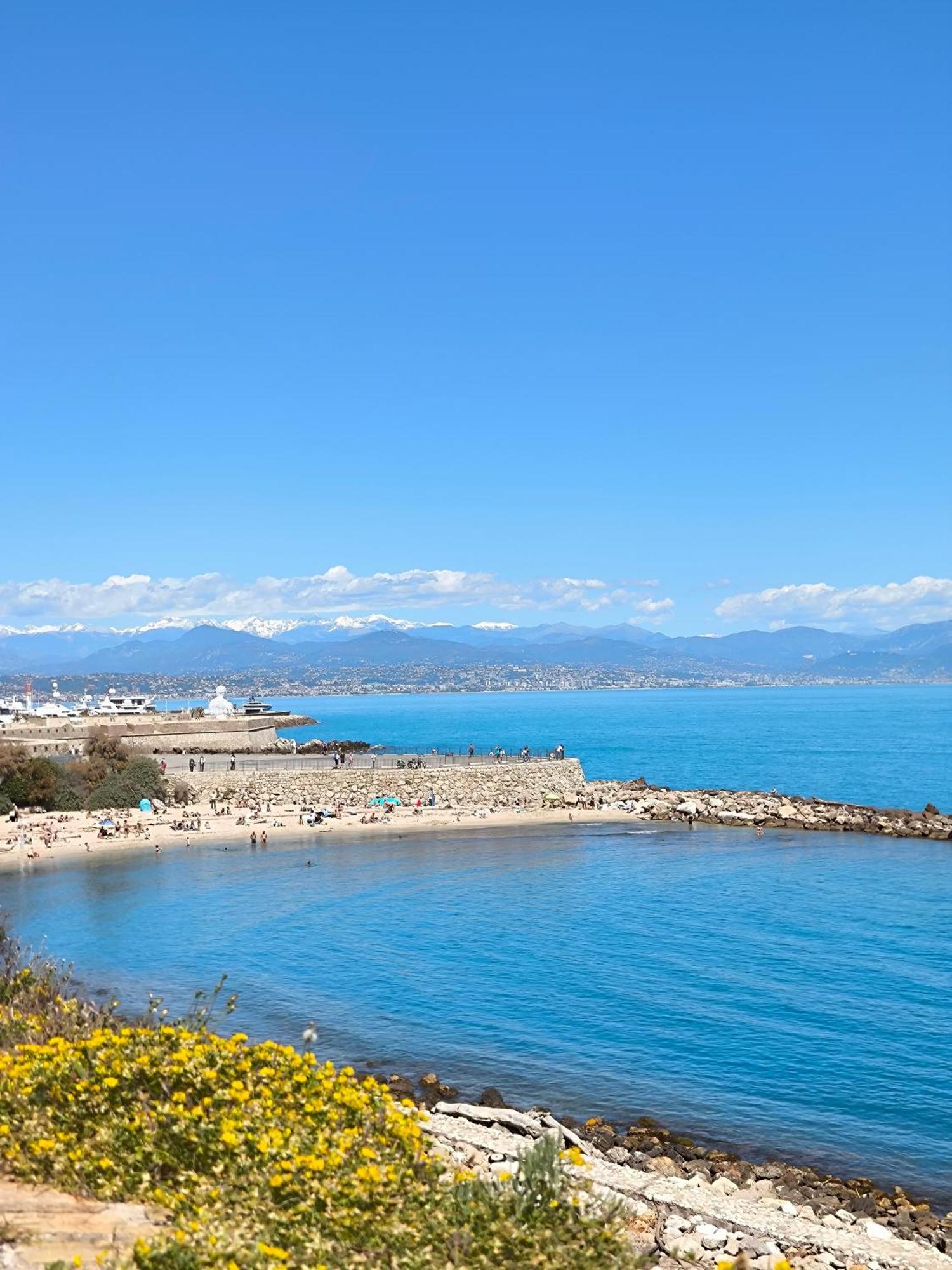 Arad 40M2 Classe Immense Terrasse 35 M2 Piscine Antibes Jlp Parking