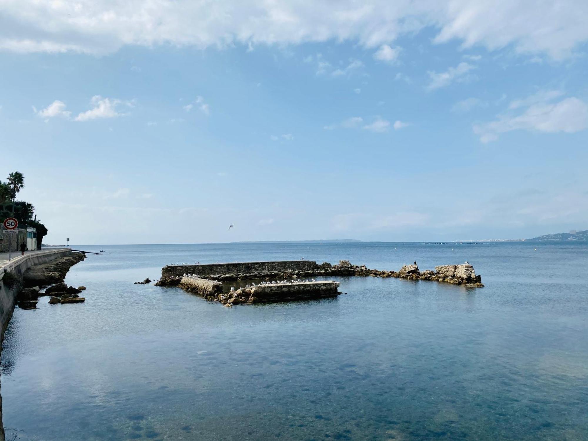 Apartment Le Palais Antibois Antibes