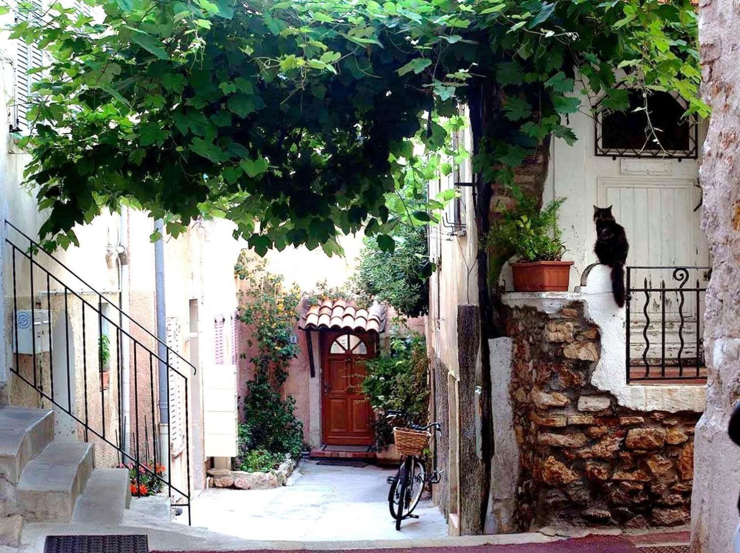 Koselig I Apartamento Antibes