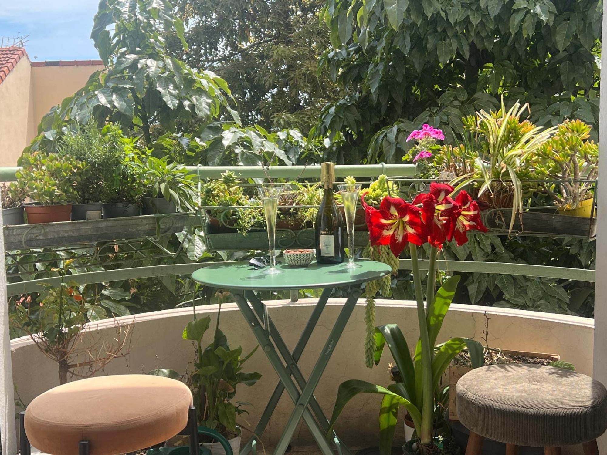 Apartment Le Palais Antibois *