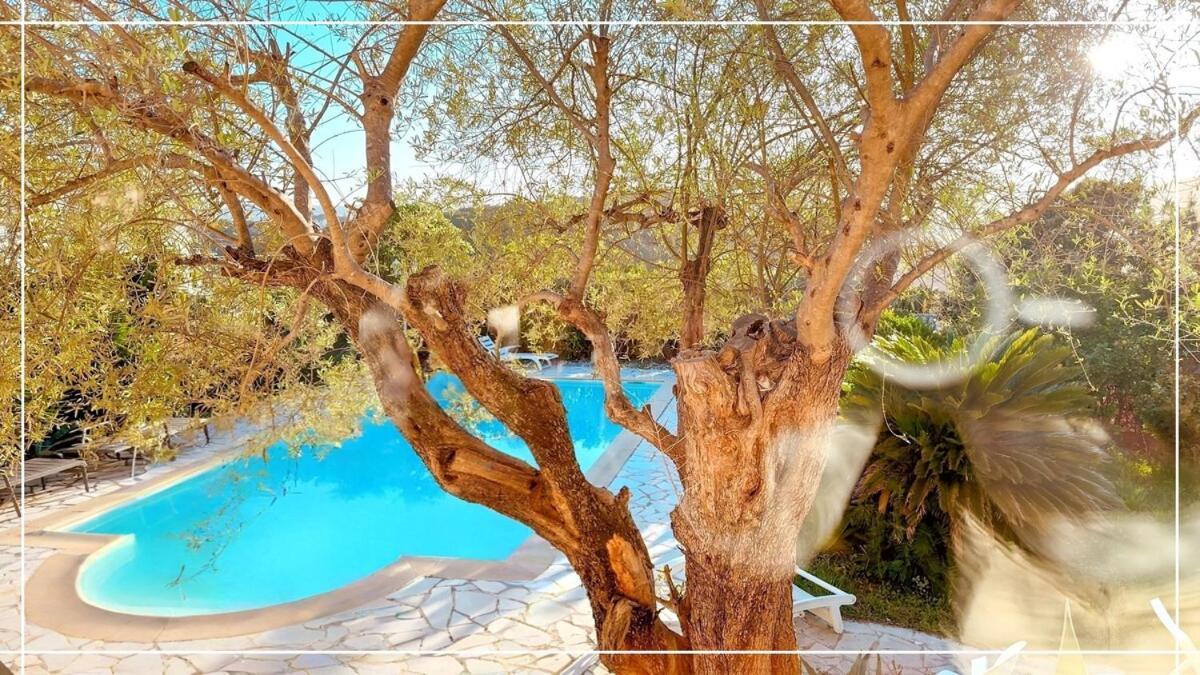 Provencal Parenthesis Apartment Antibes