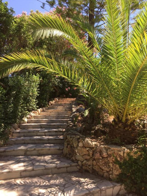 Independent One Bedroom Apartment Antibes