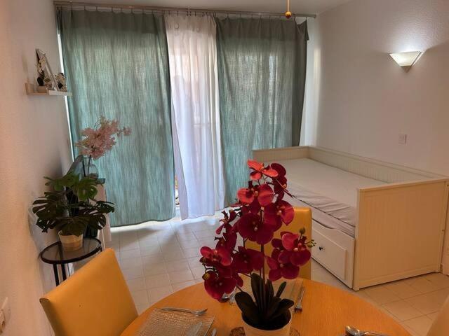 Apartment Before Submitting A Request Please Take A Moment To Read My Host Profile At Bottom Of Page To Ensure A Smooth And Personalized Stay Antibes