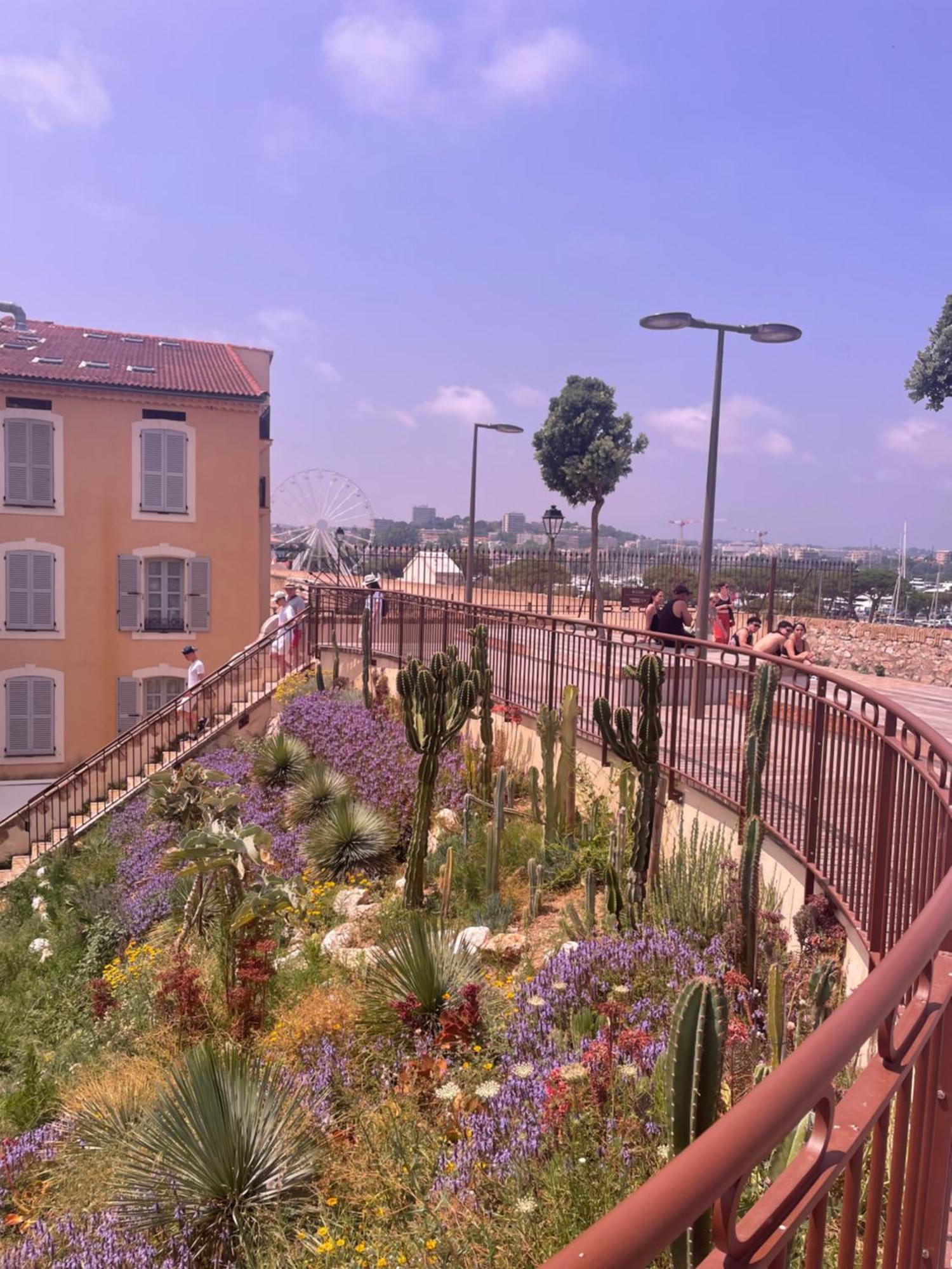 Logement Insolite French Riviera Avec Parking * Antibes