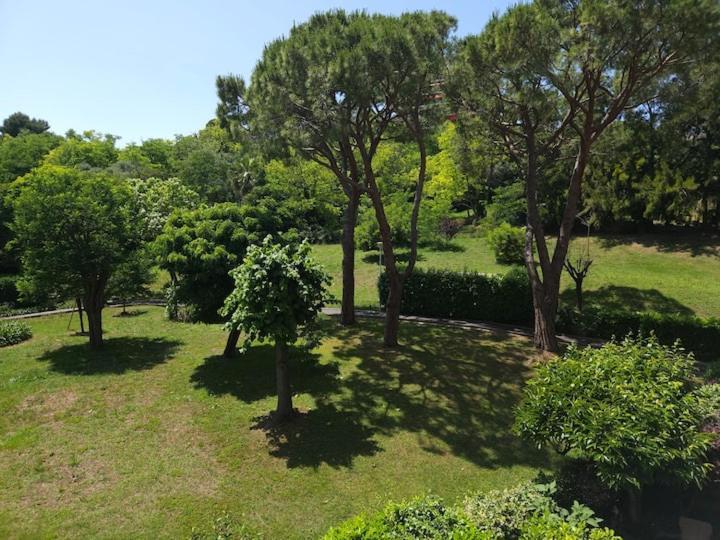 Le Vauban Grand 2 Pieces Parking Antibes