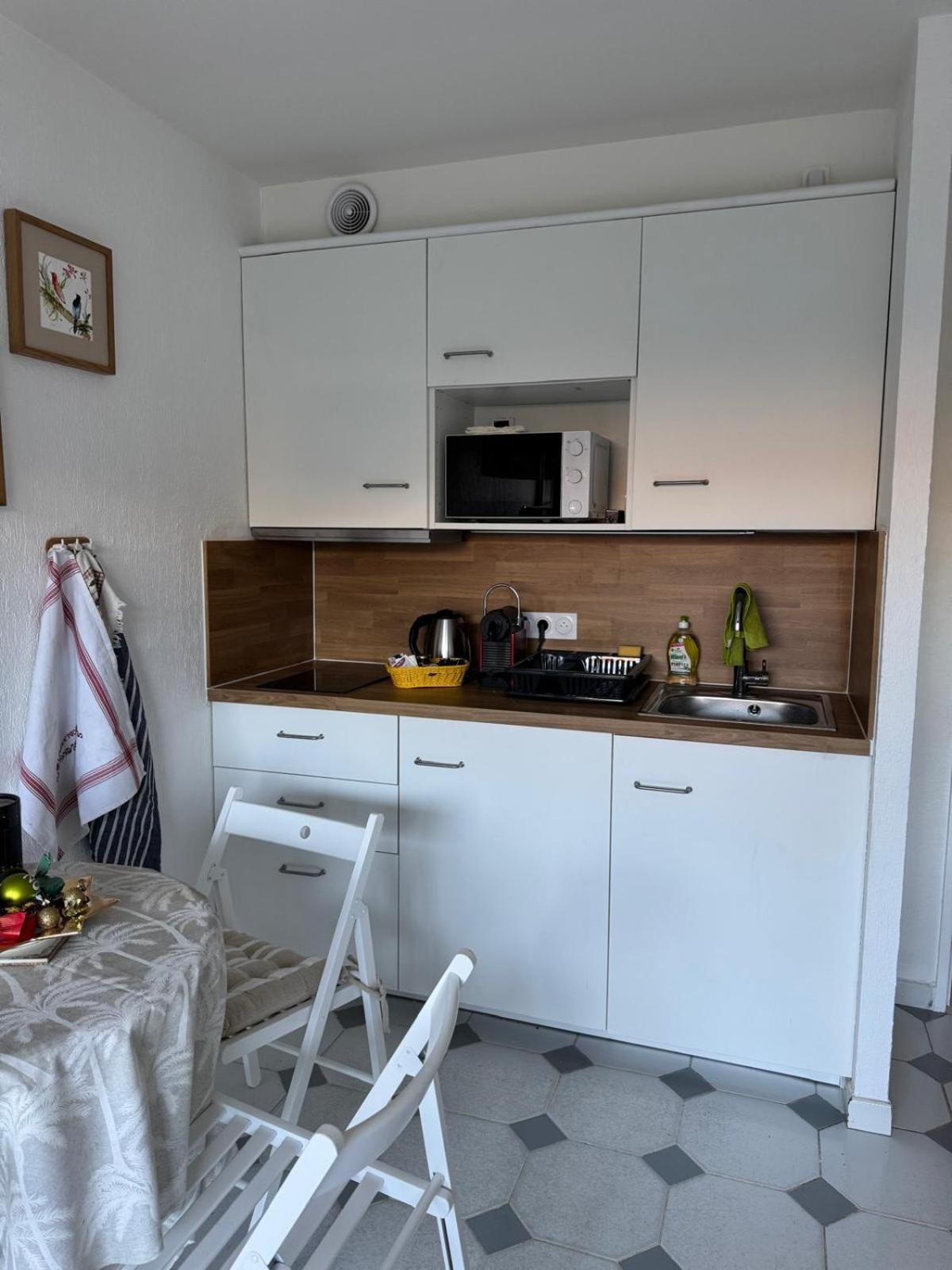 With Terrace In The Center With Ac Antibes