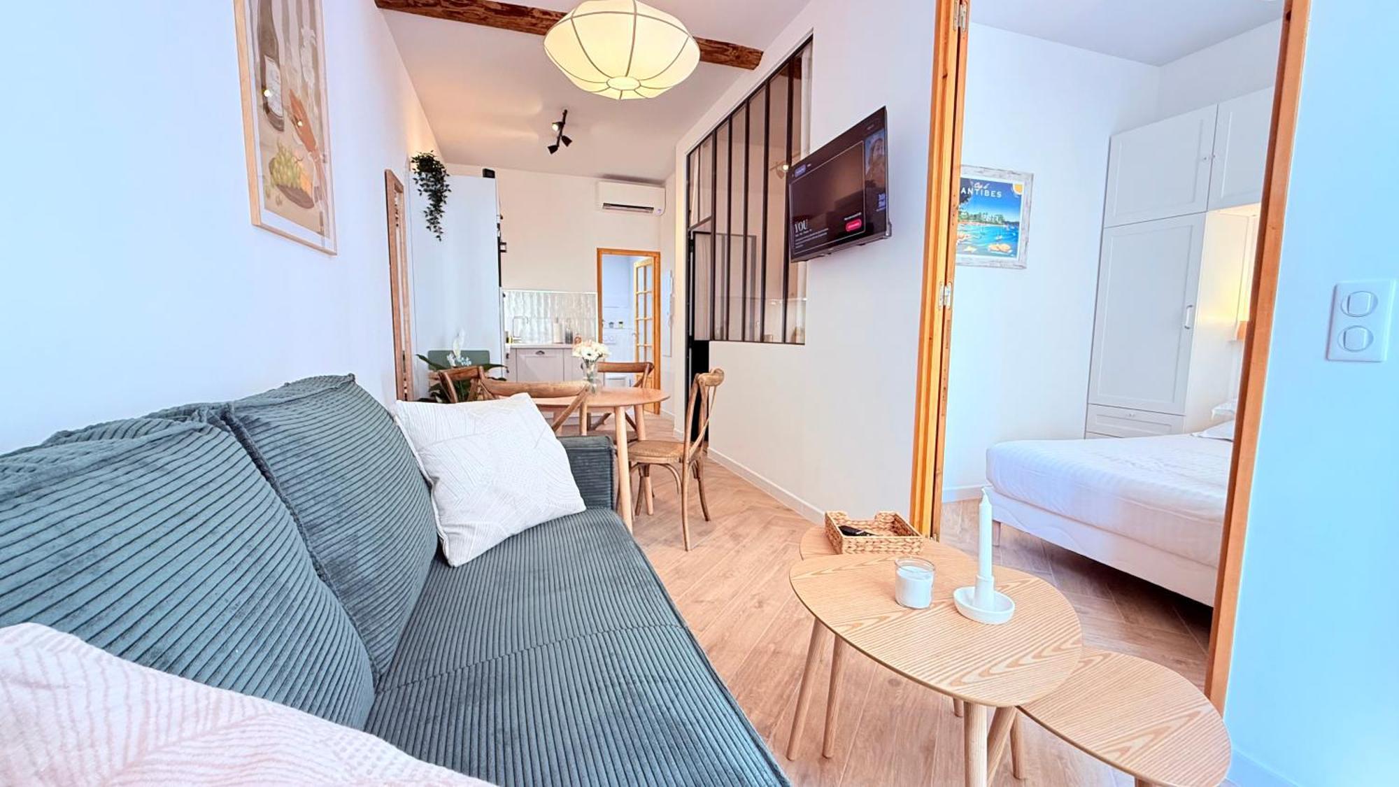 Apartment Newly Renovated Gem, Old Antibes