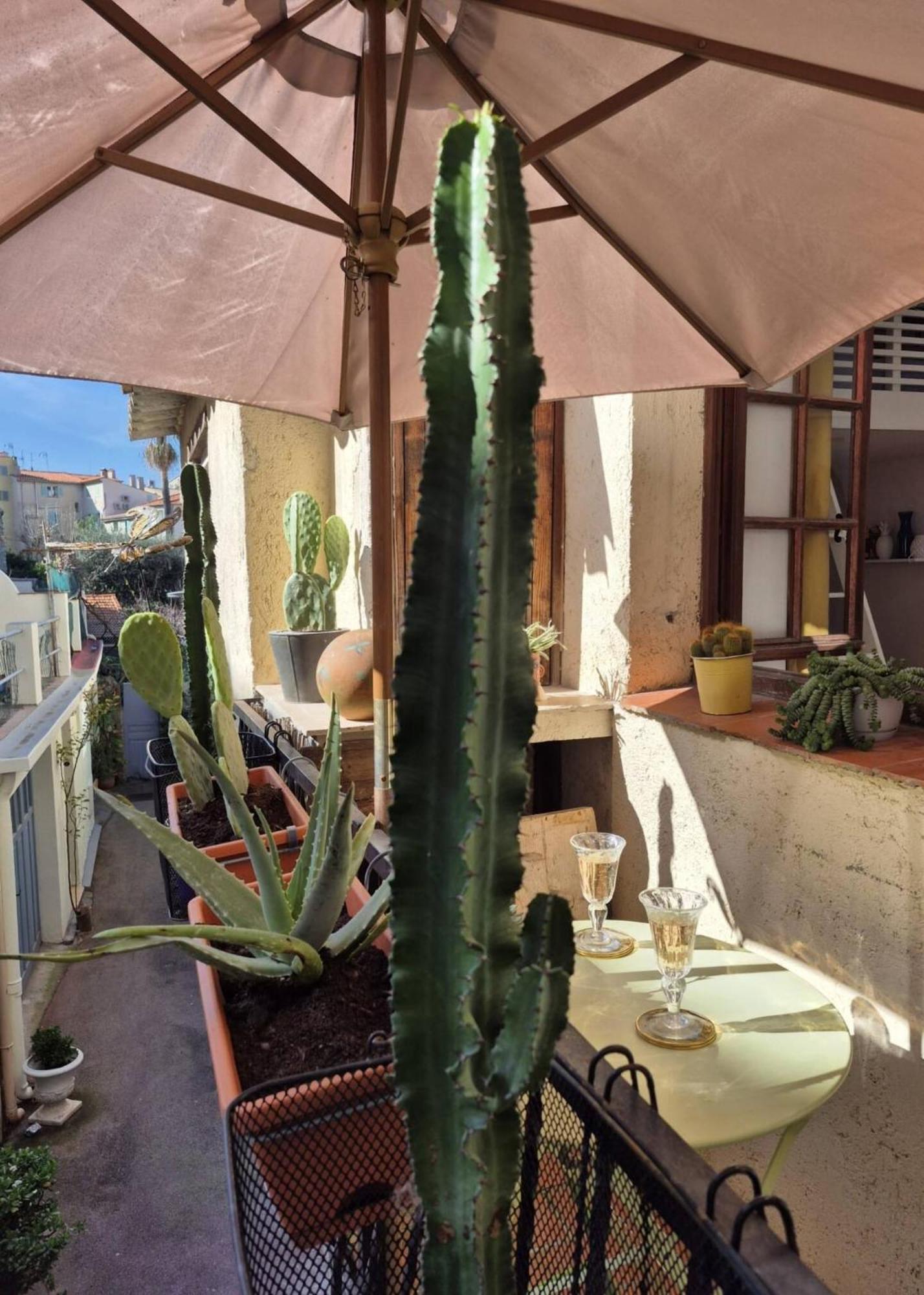 Le Cosy Antibois - Proche Marche Provencal Antibes