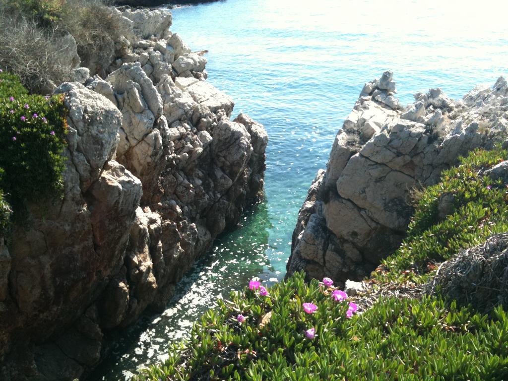 Studio Crista Antibes