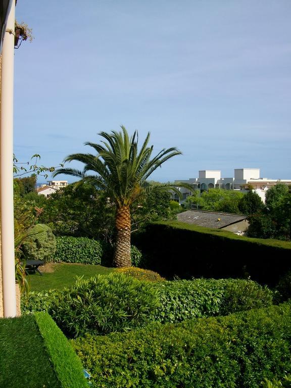 Des Basses Breguieres Antibes