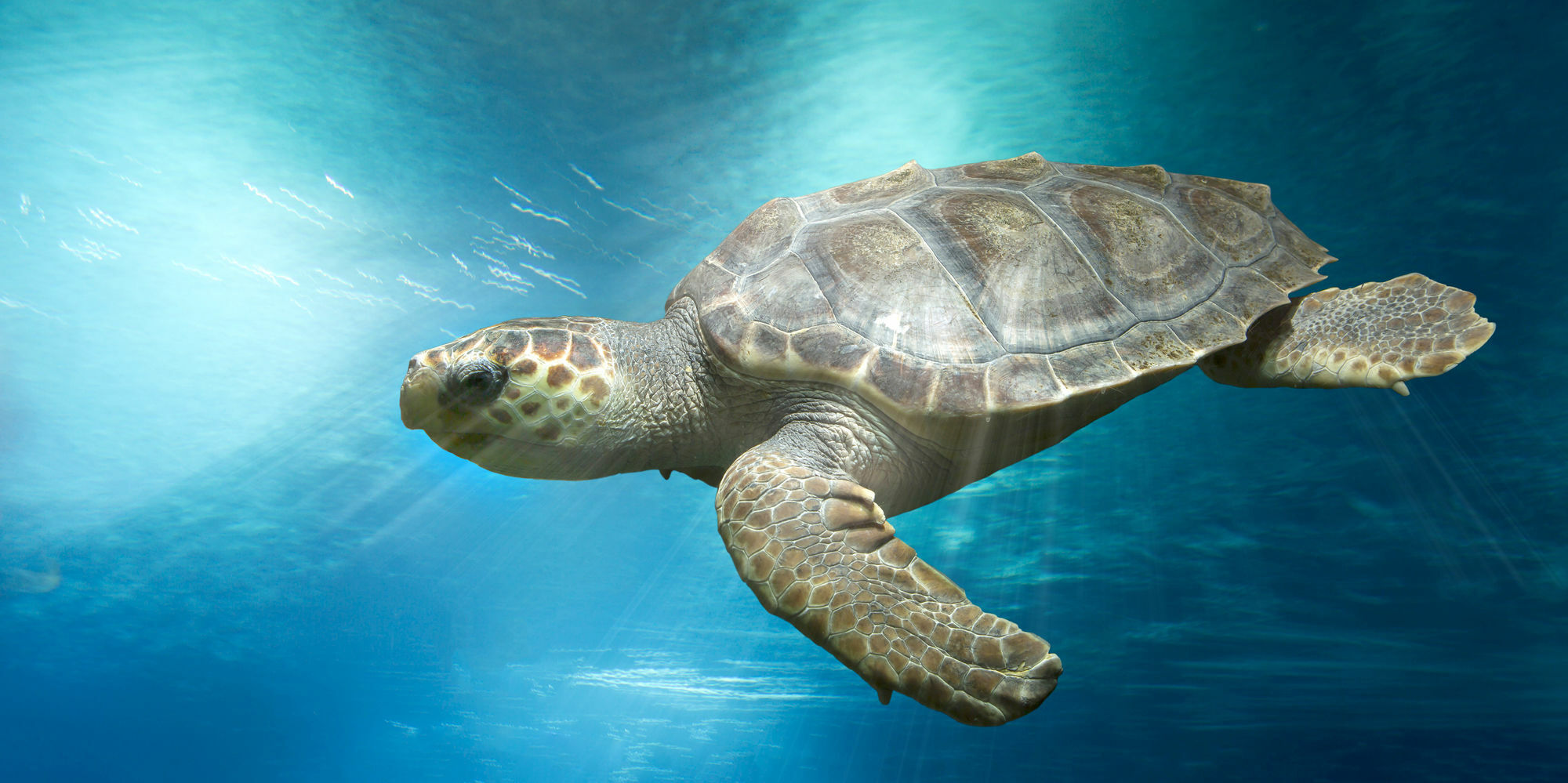 Hotel Marineland Antibes