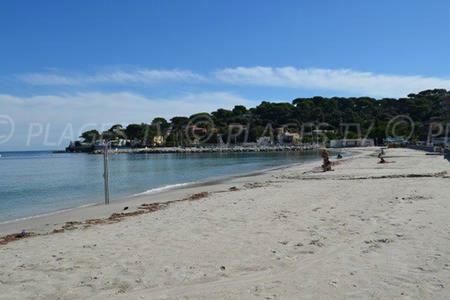 Apartment 301-studio Au Calme Entierement Renove Antibes