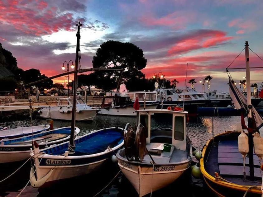 La Tourraque Apartment Antibes