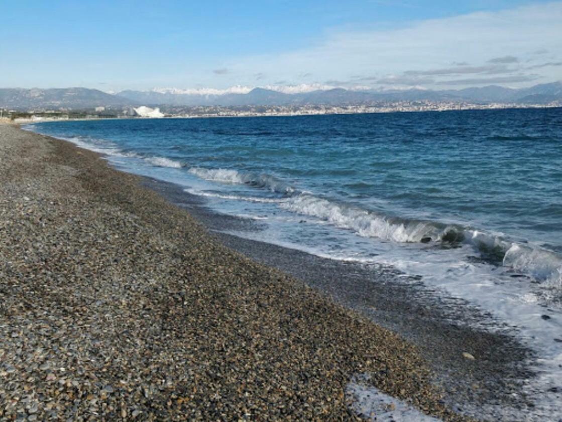 Les Hesperides Antibes