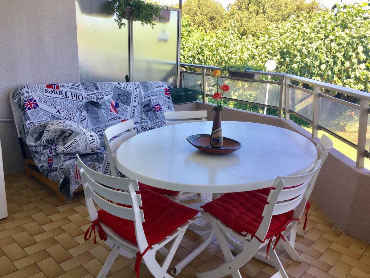 Zen Garden Beach, Marinland-parc, Swimming Pool, Fibre Optique Antibes
