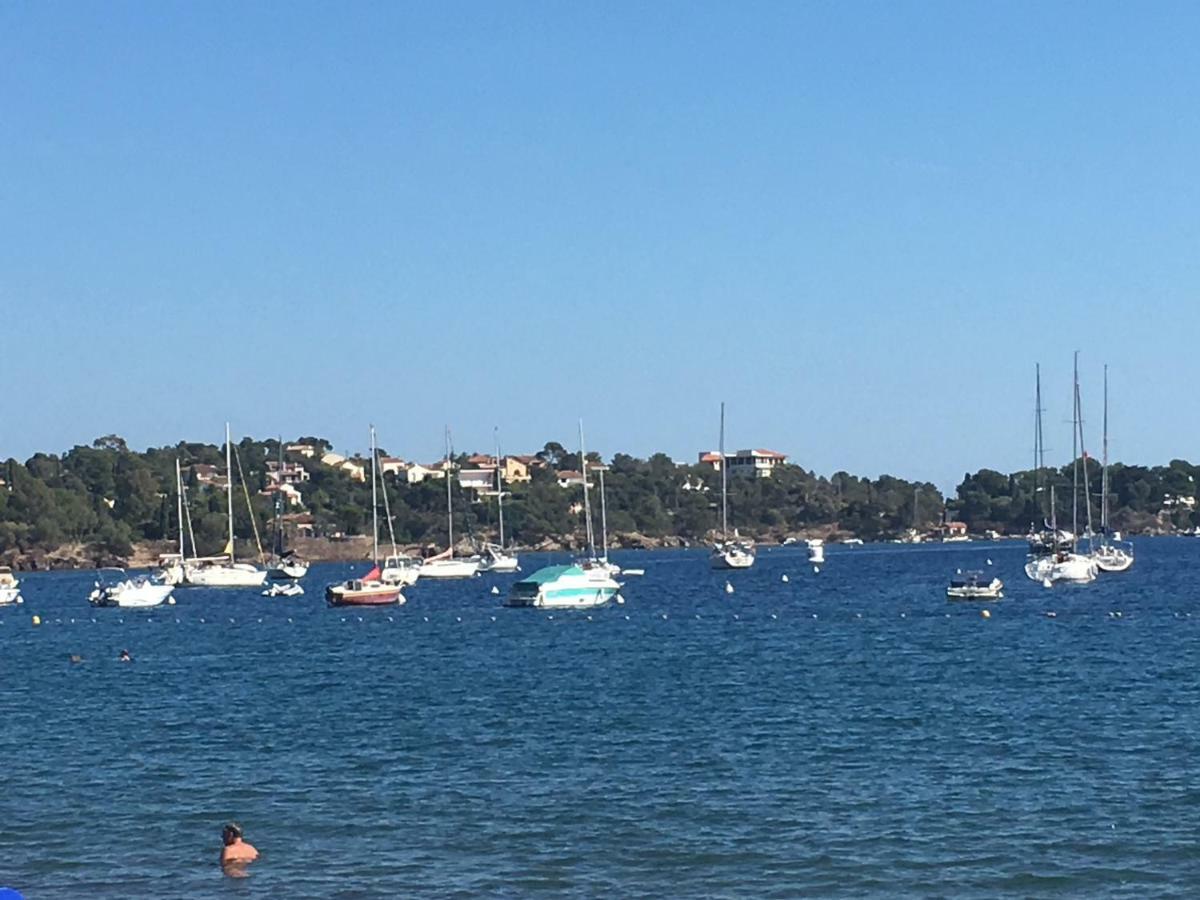 Zen Garden Beach, Marinland-parc, Swimming Pool, Fibre Optique Apartamento Antibes