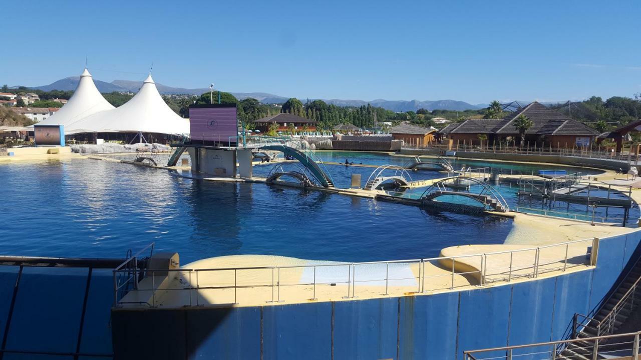 Studio Zenazur * Antibes