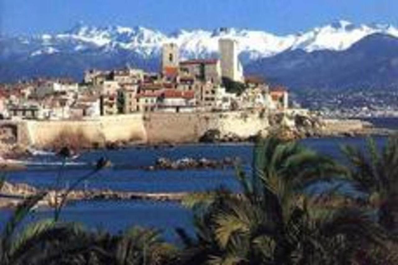Studio Au Coeur Du Vieil 5 Mn Des Plages * Antibes