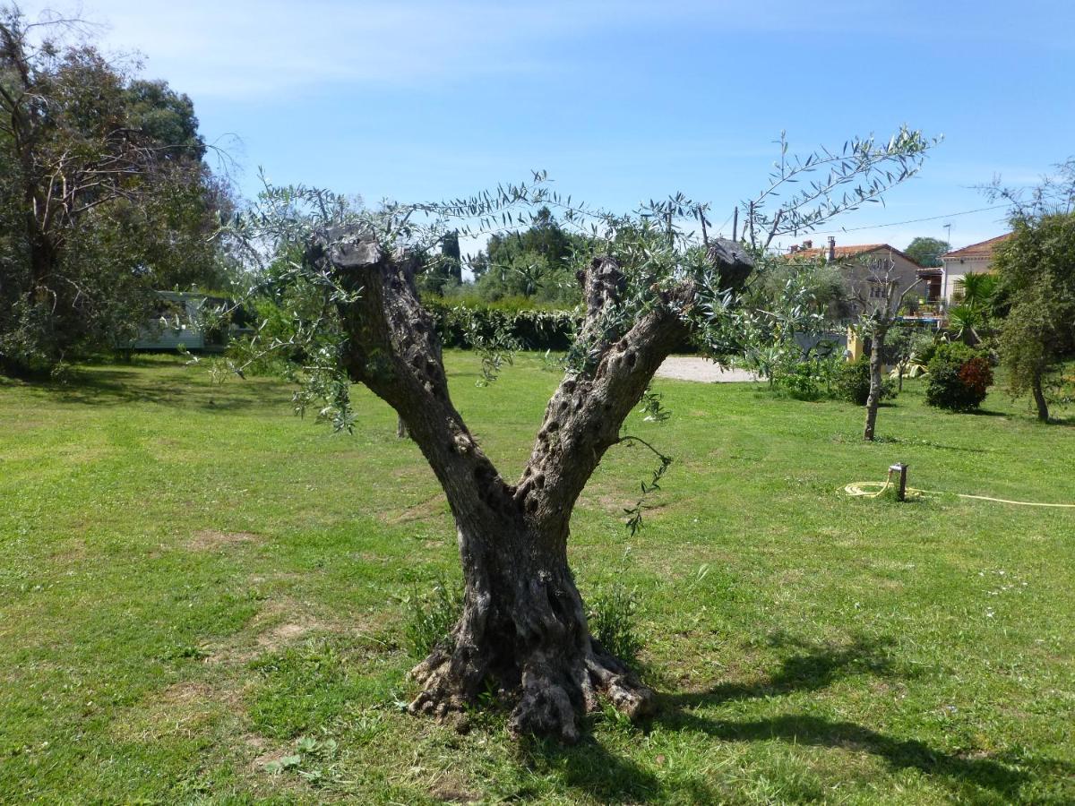 D'hôtes La Bastide Des Eucalyptus Couette-café 2*