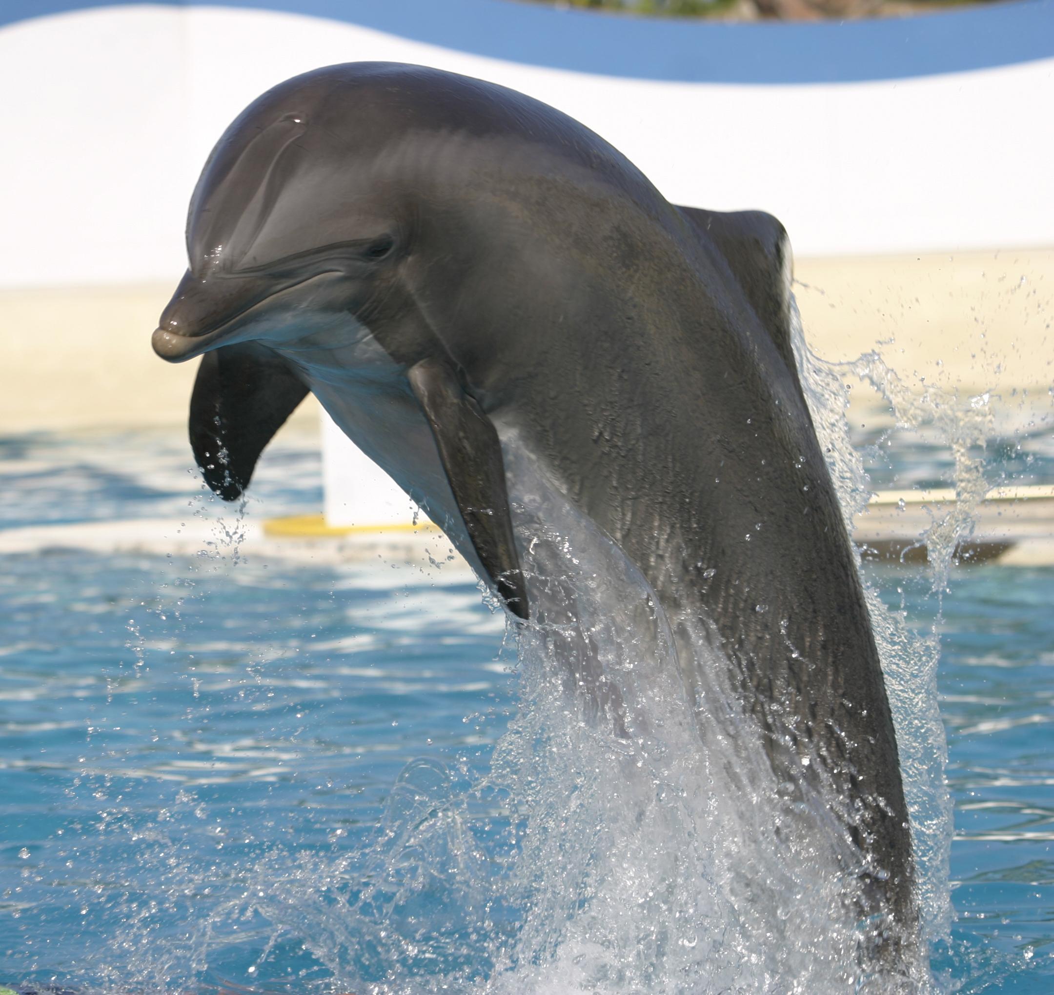 Marineland Hotel Antibes